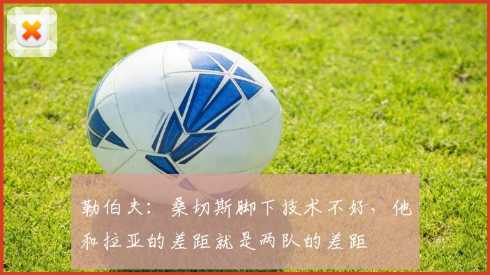 勒伯夫：桑切斯脚下技术不好，他和拉亚的差距就是两队的差距